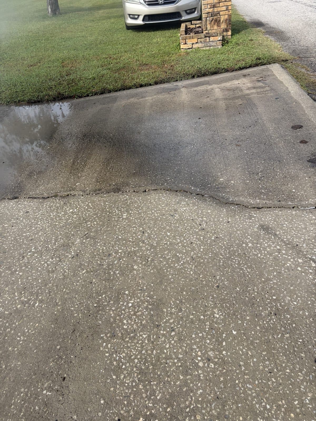 Concrete driveway mid-wash showing the clean and dirty sections, Tampa Bay FL