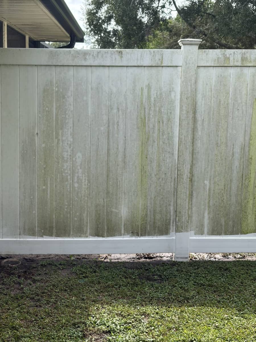White vinyl privacy fence covered in green algae before pressure washing, Tampa FL
