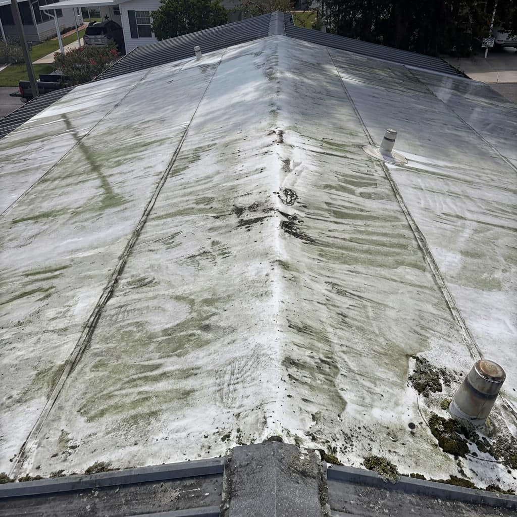 Mobile home roof streaked with green algae and black mildew before washing, Tampa Bay FL