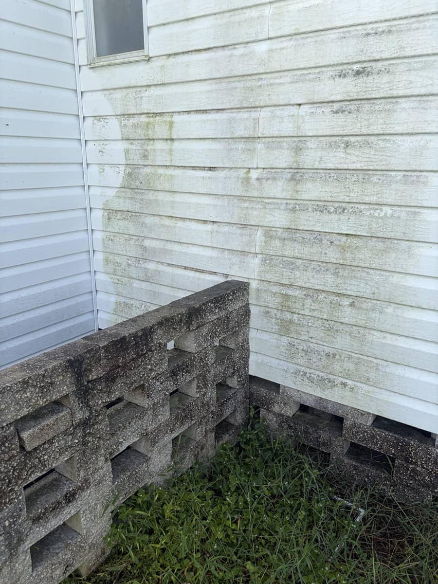 Shaded corner of white vinyl siding with green algae before soft washing, Tampa Bay FL