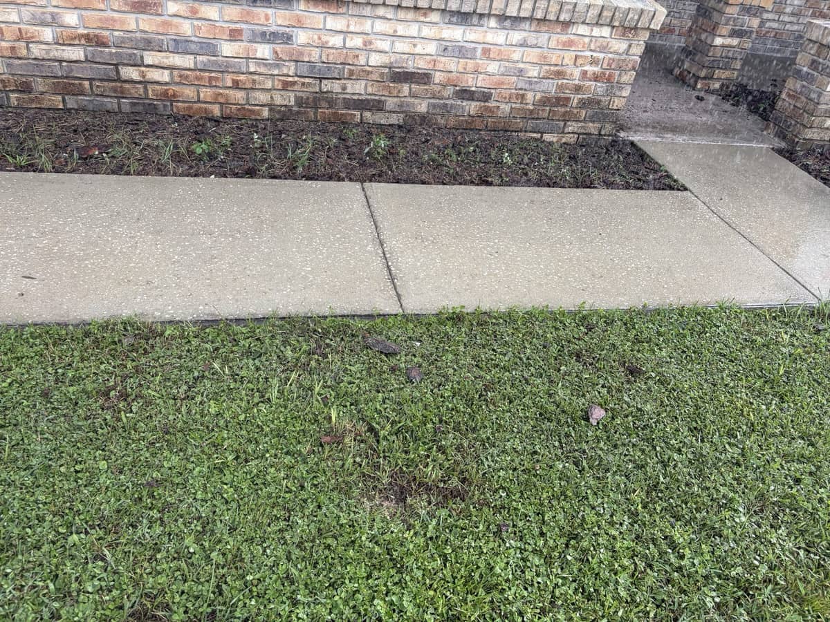 Clean concrete walkway after pressure washing by Tom's Professional Power Wash Plus, Tampa FL