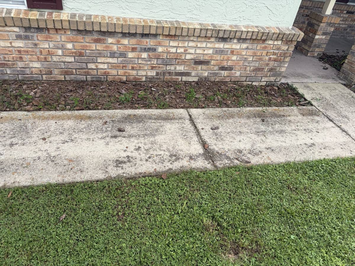 Stained concrete walkway beside a brick planter before pressure washing, Tampa FL